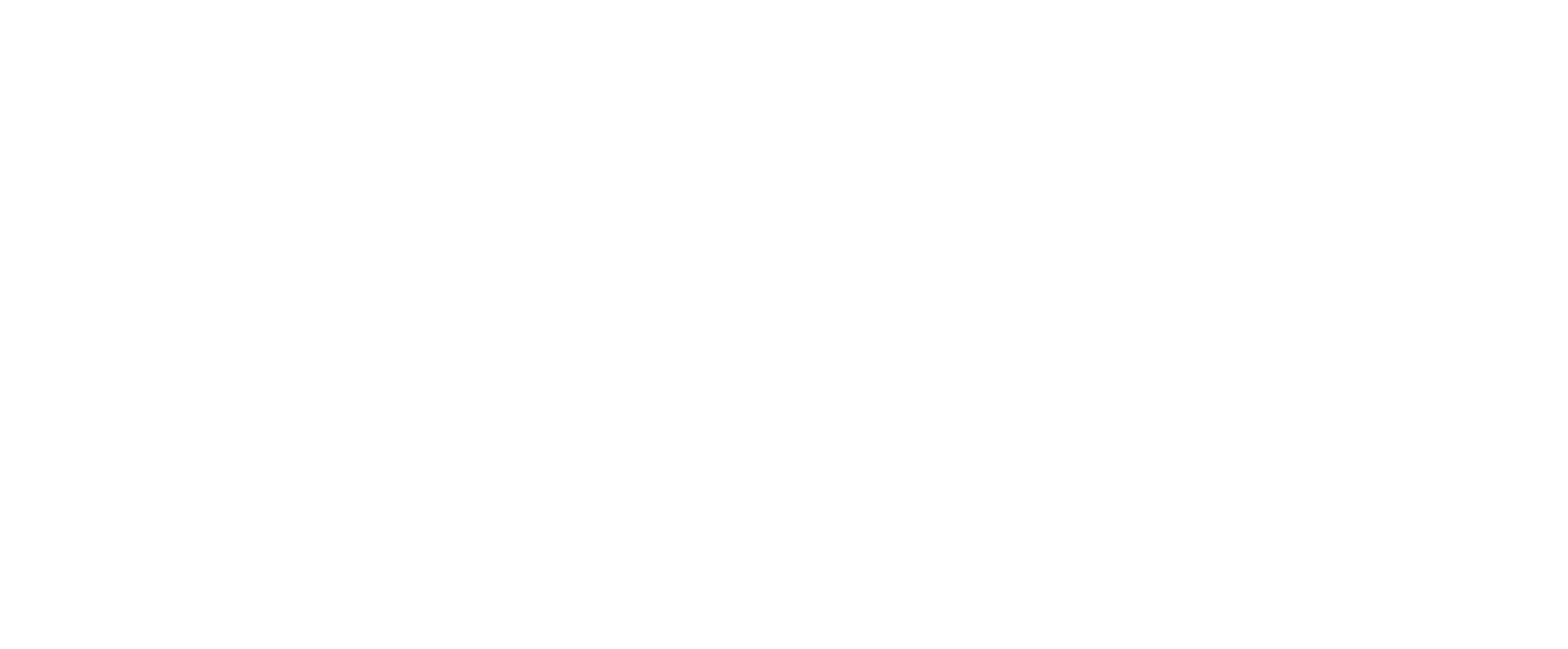 Air solutions logo white